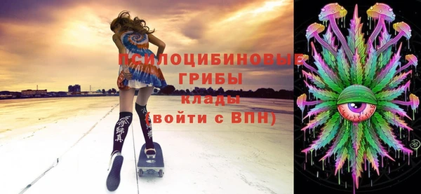мдпв Вязьма