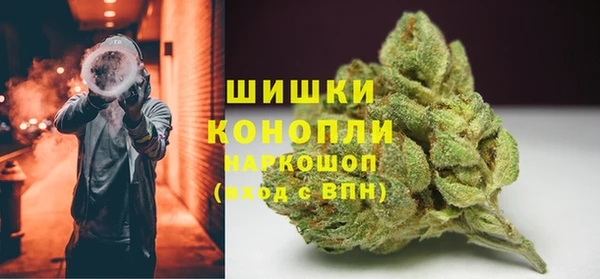 мдпв Вязьма
